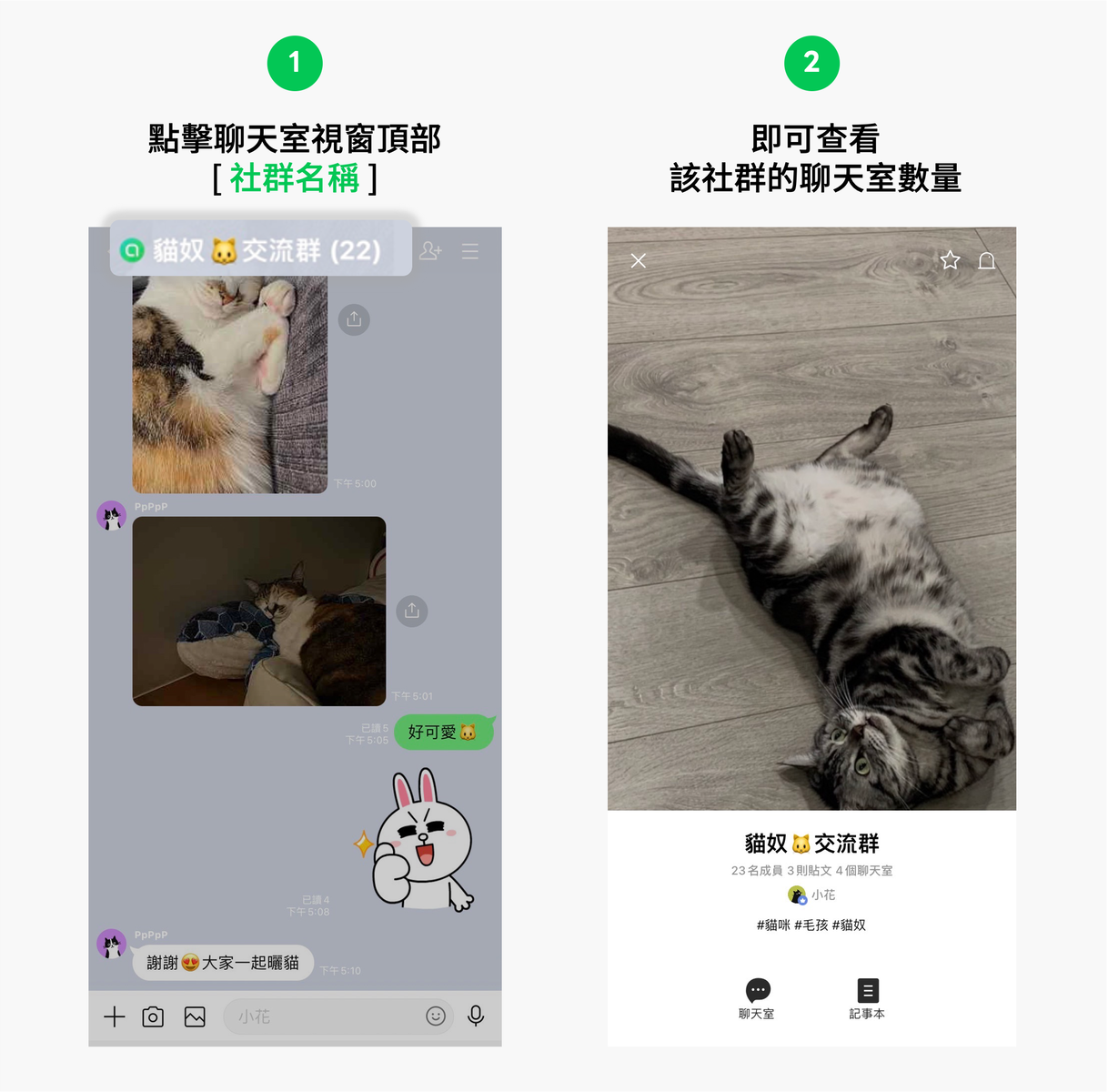 LINE社群－子社群聊天室 功能介紹