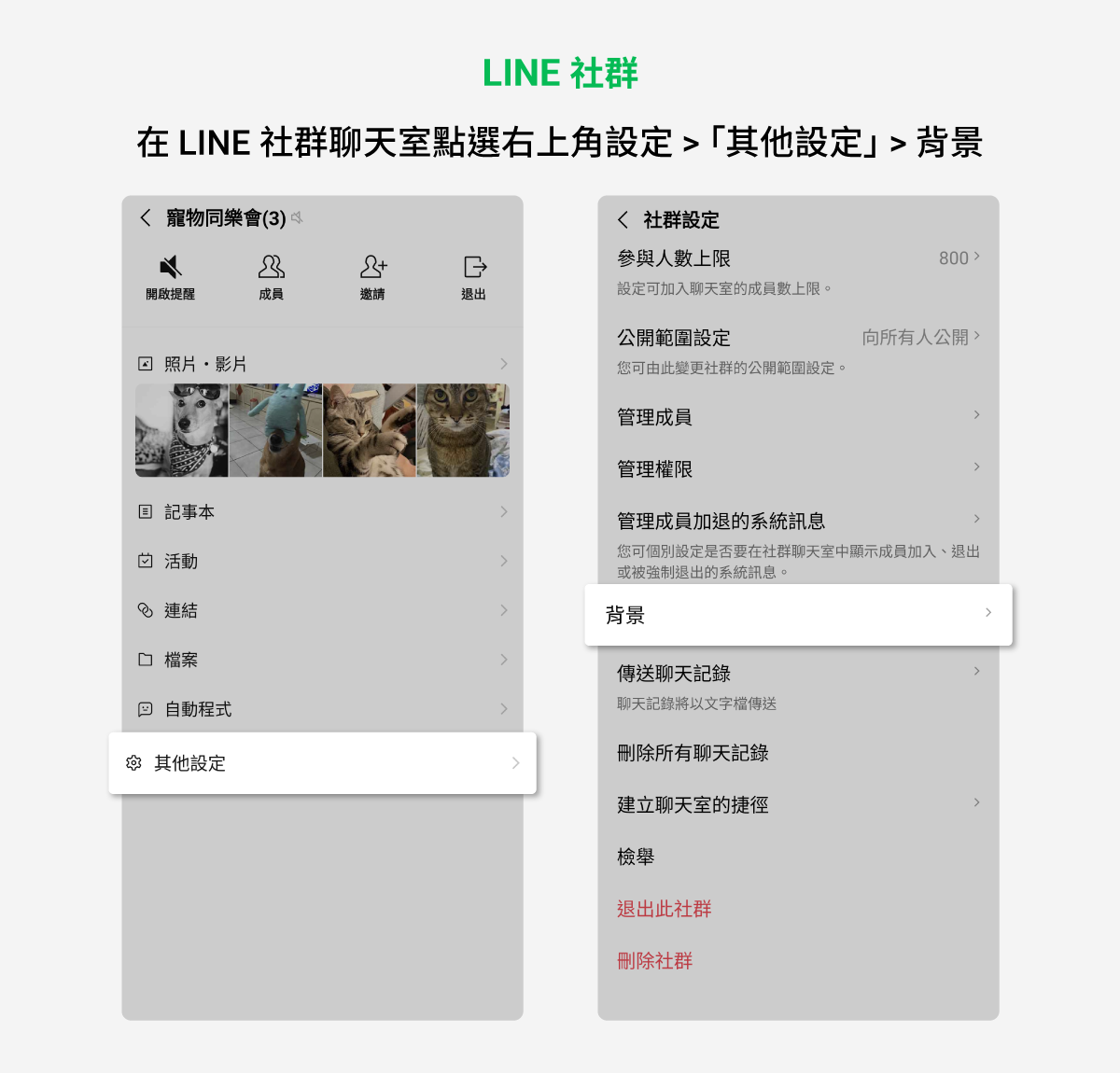 來幫LINE聊天室換上可愛的背景吧！